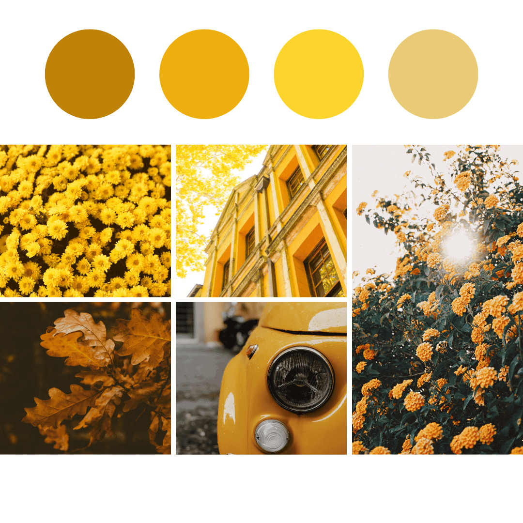 autumn monochrome palette