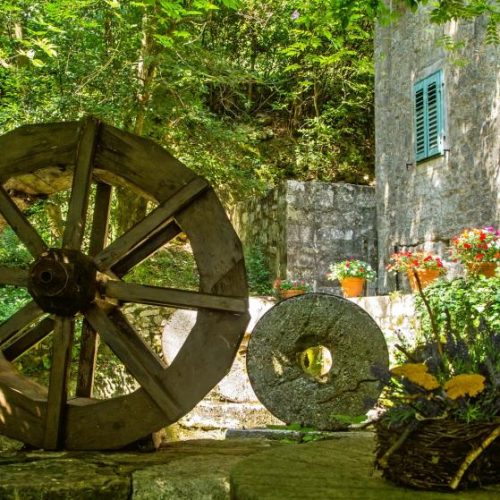 About Krilo Jesenice
