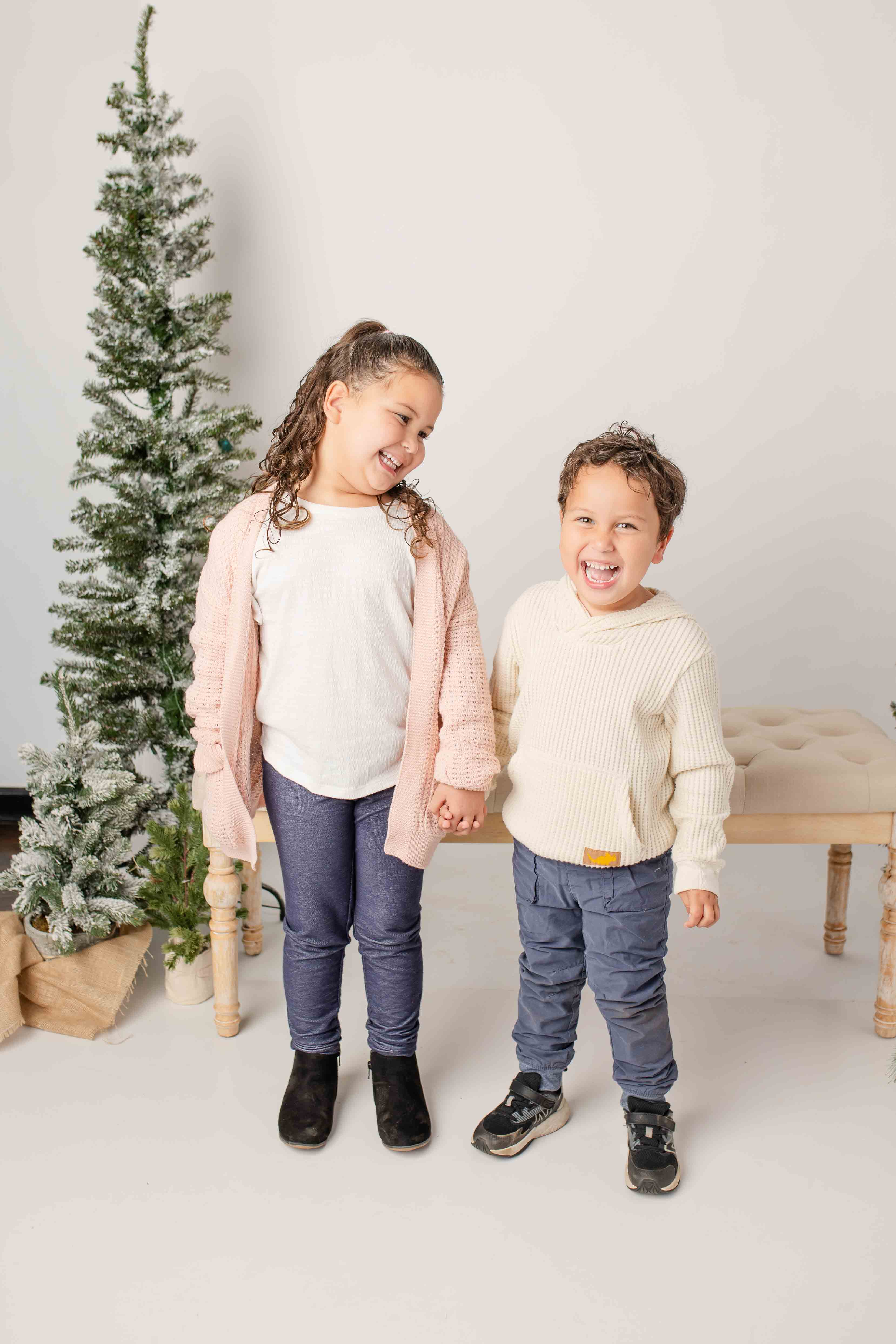 Studio Christmas MINI Sessions farmington CT