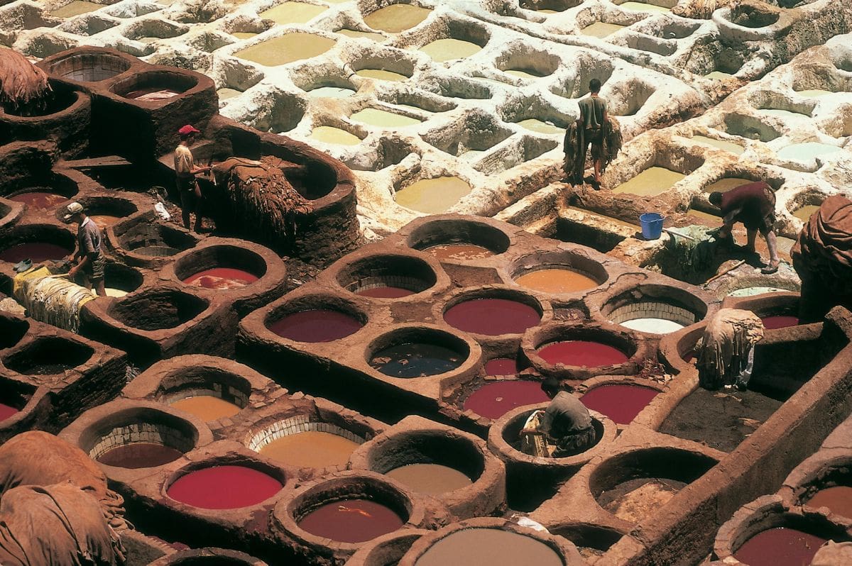  Fez 