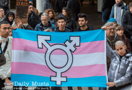 Things Fall Apart: Gender Medicine. Washington Post. No Breaks in Nancy Guthrie Case. Call Out for Vaught. Marsha Blackburn Questions Objectivity of Legal Giant. More