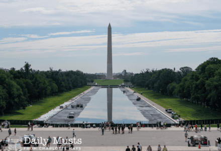 Look into the Reflecting Pool. Downing Street Cat Larry Seeks New Manservant. Hot Time in Switzerland. NYT Celebrates Father's Day with 'Trans' Dad Essay. Rise of Socialism. More