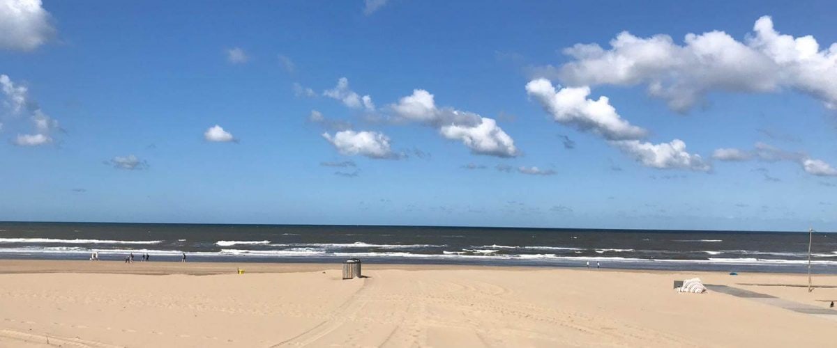 STRAND KLEIN ZOOMSESSIES