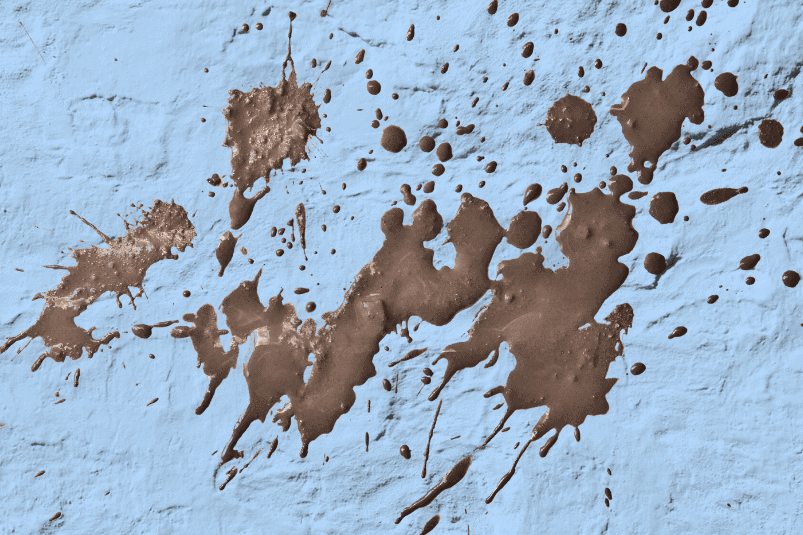 fractional cmo services