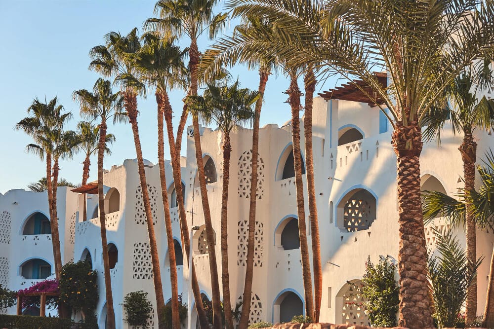 business en destination du Maroc
