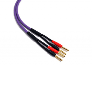 Melodika Purple Rain MDSC40