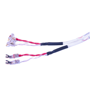 Weiss Chiron Speaker