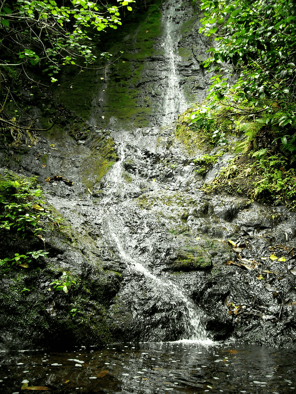 Likelike Falls in Oahu