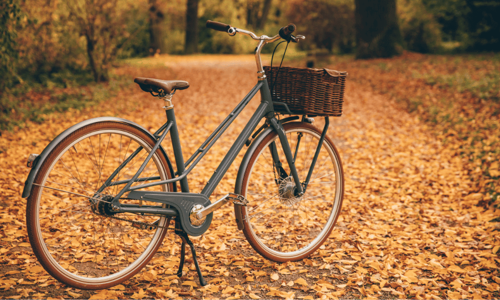 fall bike ride