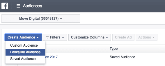 Lookalike Audience