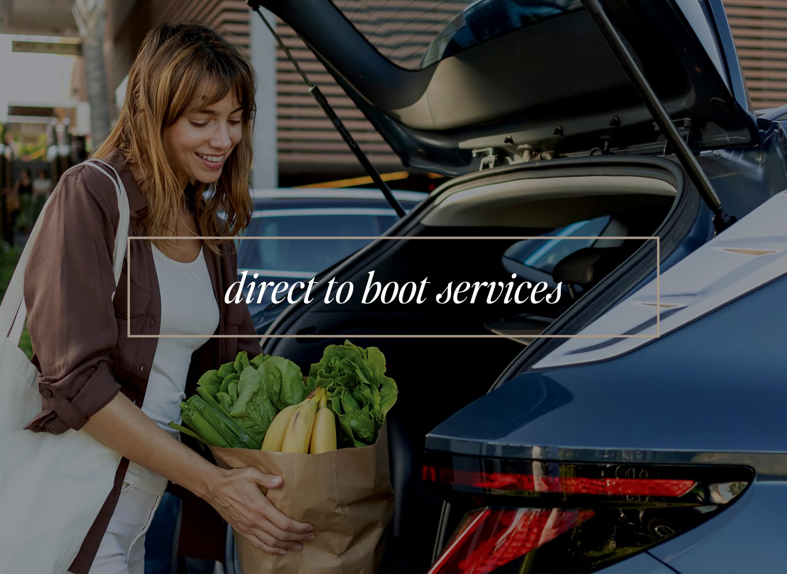 NS_Website-DirectToBoot