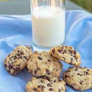 Chocolate Chip Walnut Cookie {Gluten-Free, Grain-Free, Low-Carb}