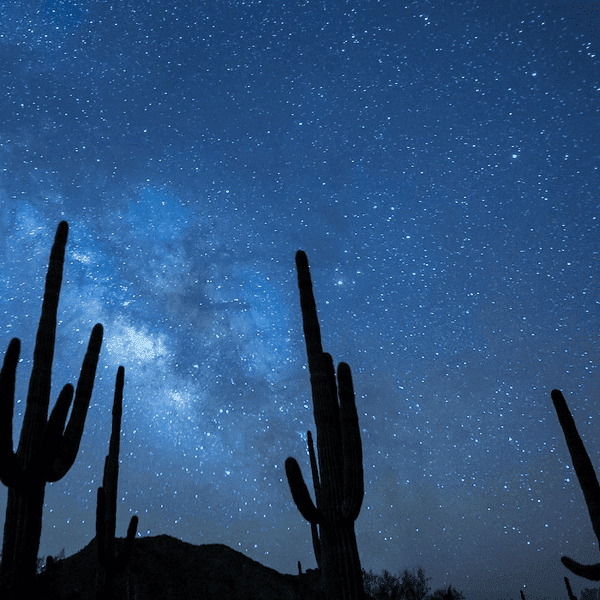 Jesú Estrada, Ph.D.