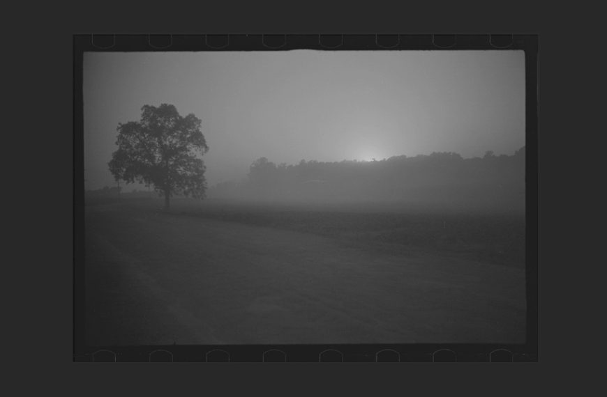 Black and white photo of a misty covered rural road at dusk, a lone tree in the left of the frame.