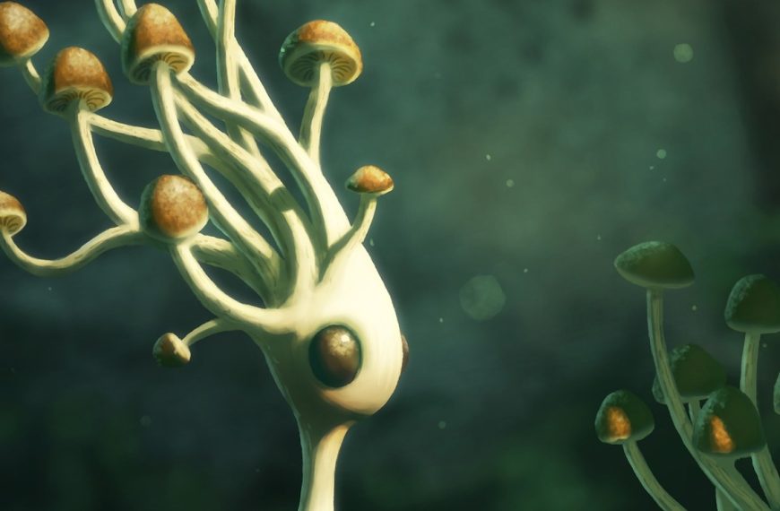 Illustration of benign sentient mushroom creatures.
