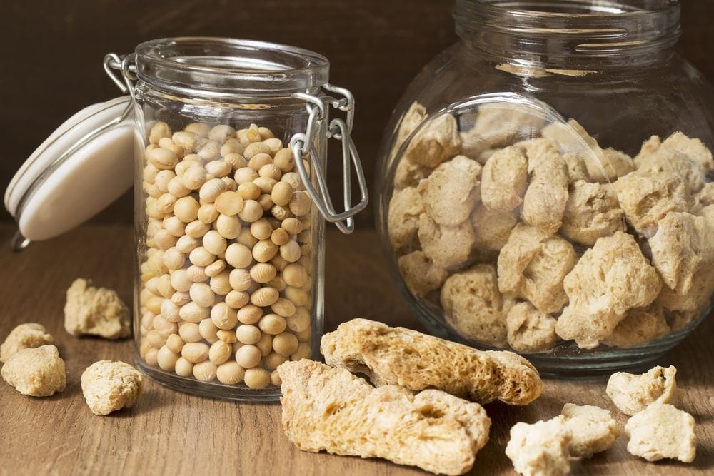 Soja para perros: beneficios y precauciones al incluirla en su dieta