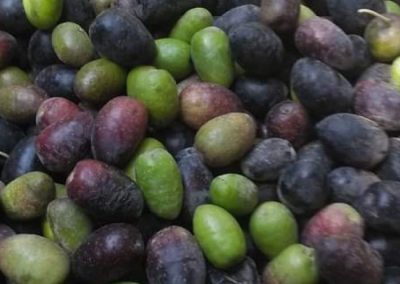 Process 4 - Qori Oliva