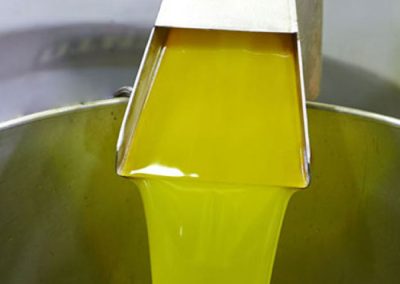 Process 6 - Qori Oliva