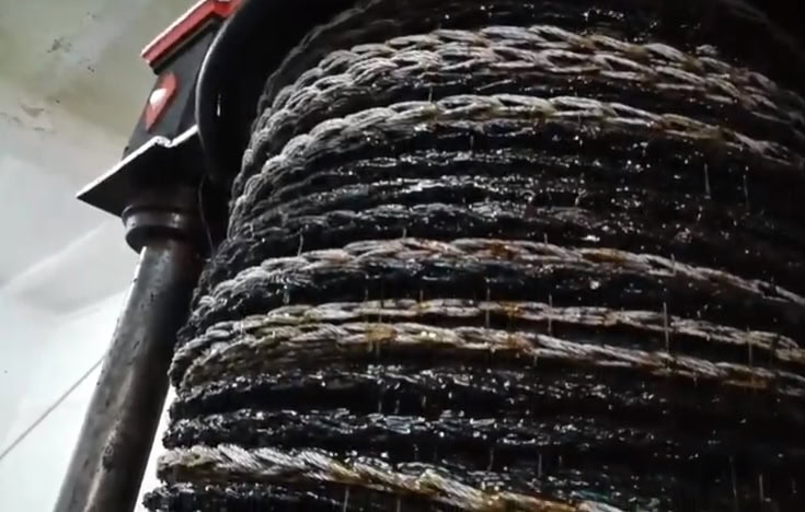 Preparación de Aceite de Oliva II - Qori Oliva