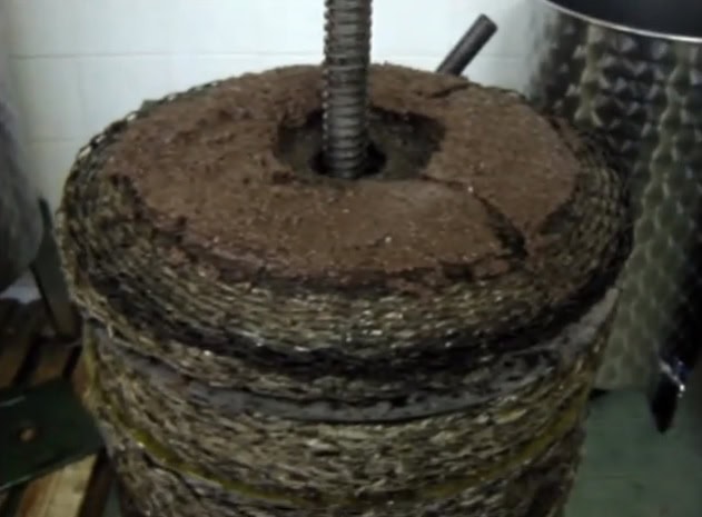 Preparación de Aceite de Oliva - Qori Oliva