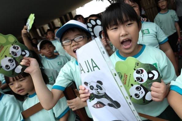 Ce pot învăța alte țări de la școlile din Singapore