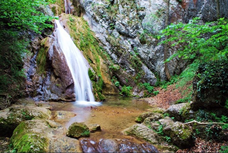 Parcul Național Semenic – Cheile Carașului în pericol
