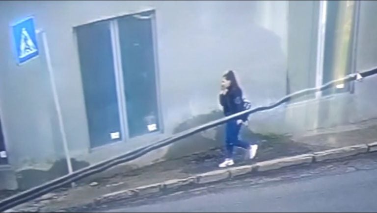 Adevărul: Contul de WhatsApp al Luizei, activ pentru scurt timp