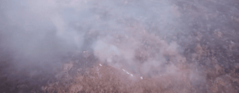 Macron cere implicarea G7: Incendiile din Pădurea Amazoniană, o criză. Reacția lui Bolsonaro