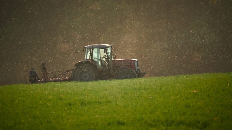 Din 2021, cresc plăţile pe suprafaţă pentru fermierii români. Scad însă, cele pentru dezvoltare rurală Din 2021, cresc plăţile pe suprafaţă pentru fermierii români. Scad însă, cele pentru dezvoltare rurală