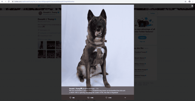 Cine este câinele erou care a ajutat la prinderea liderului ISIS, al-Baghdadi