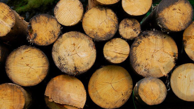 Forestierii și industria mobilei luptă cu fake news