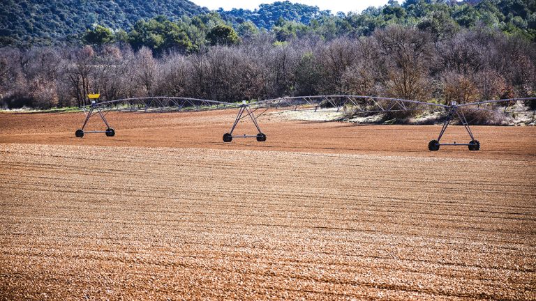 Seceta prelungită taie din producțiile agricole
