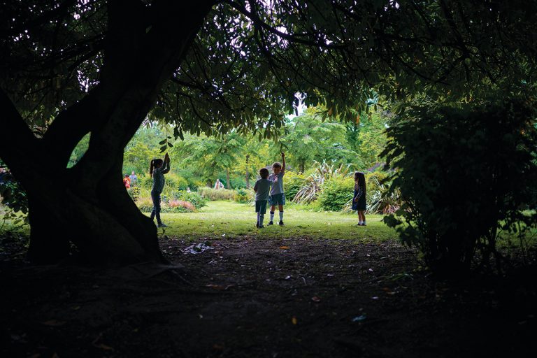 Ministerul Educației, apel la calm: Sănătatea și siguranța copiilor noștri sunt mai importante acum decât orice