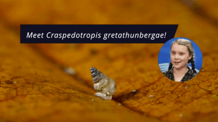 VIDEO O specie de melc a fost numită după Greta Thunberg