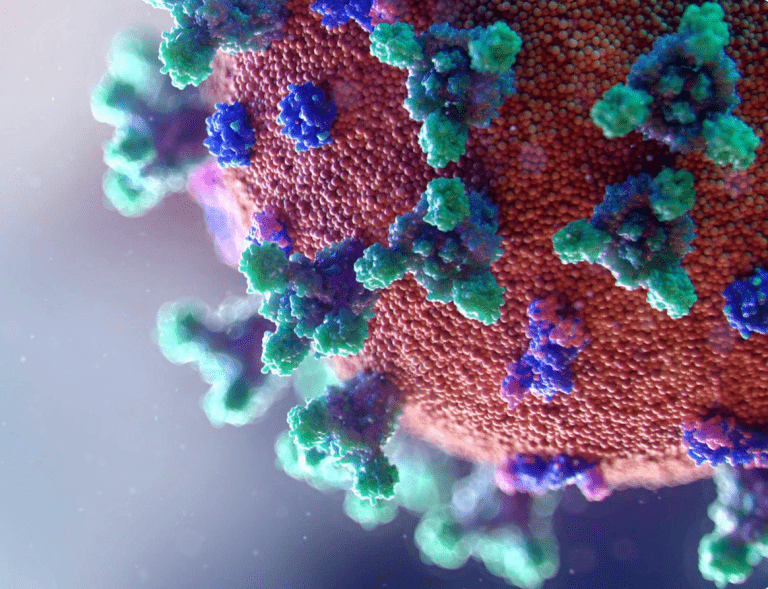 Au fost contractate 23 de milioane de vaccinuri COVID-19 de la Pfizer și Moderna