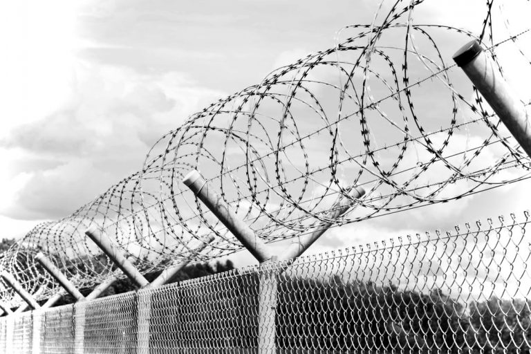 Cetățenii UE reținuți și expulzați