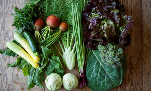troyfarmweek6-034_35741669985_Smaller Freshly grown produce from Troy Farm.