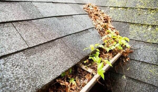 rain gutter cleaning