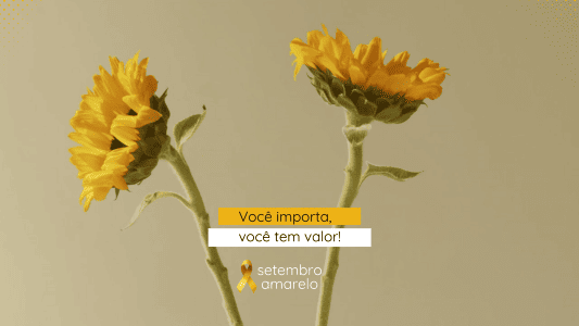 Vídeo setembro