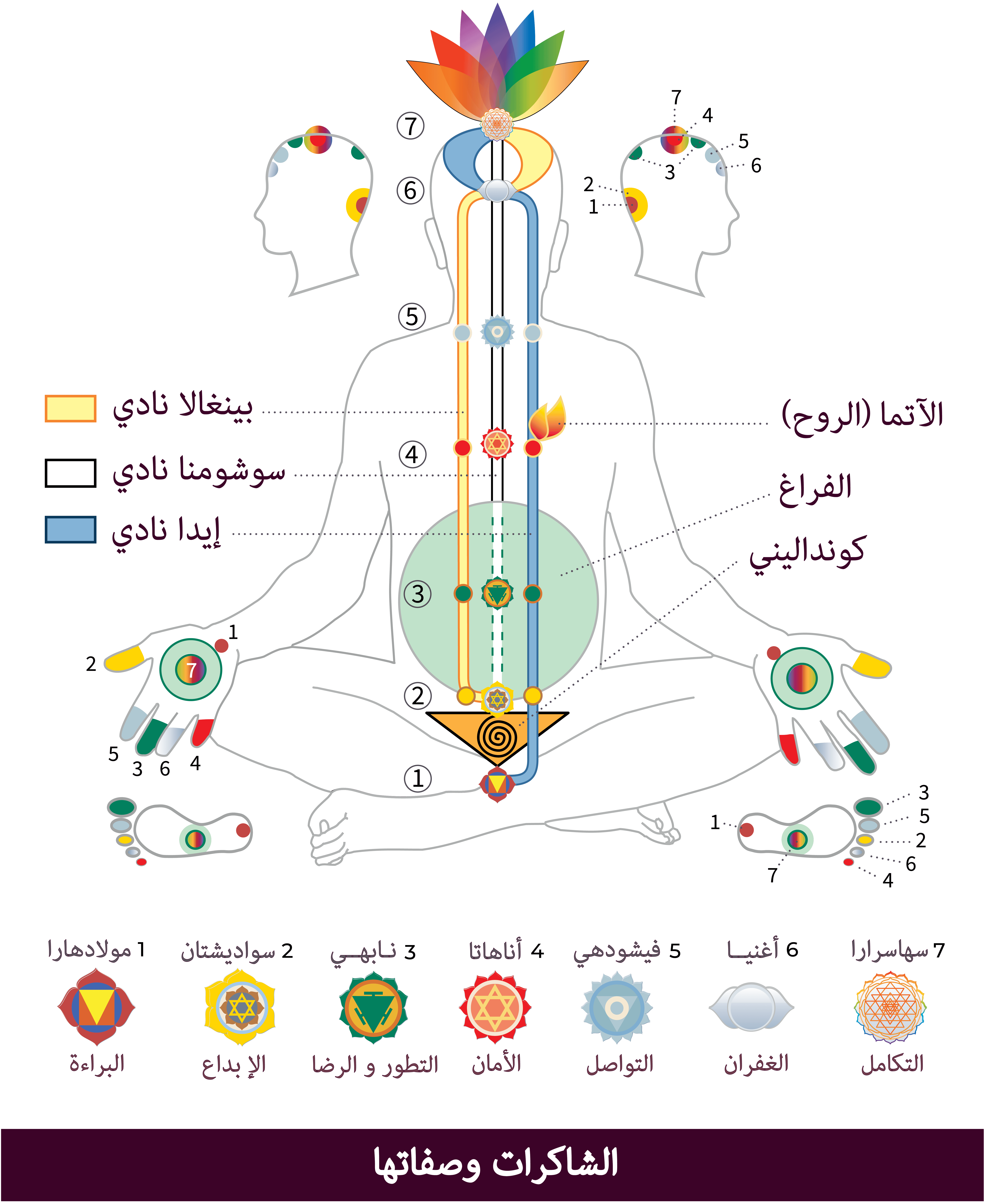 AR_Chakras and Qualities