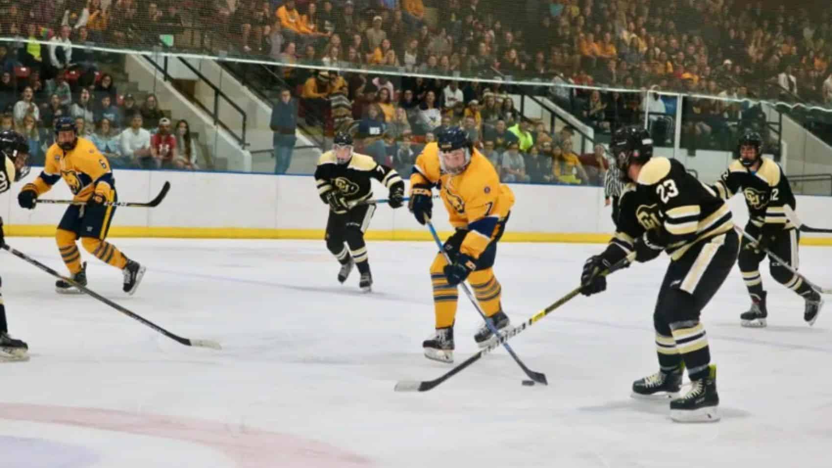 Greeley Ice Haus Hockey Lighting