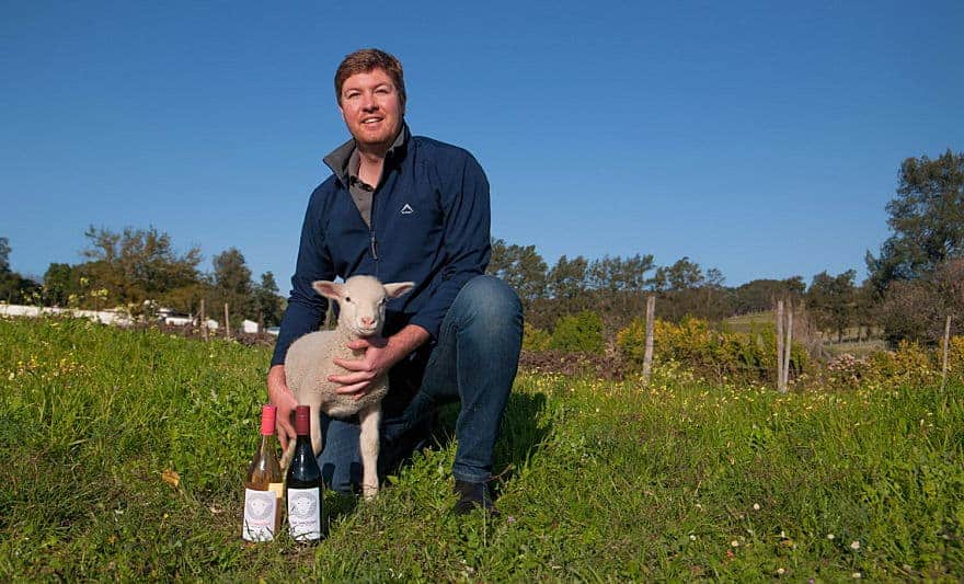 Lammershoek Wines Swartland South Africa
