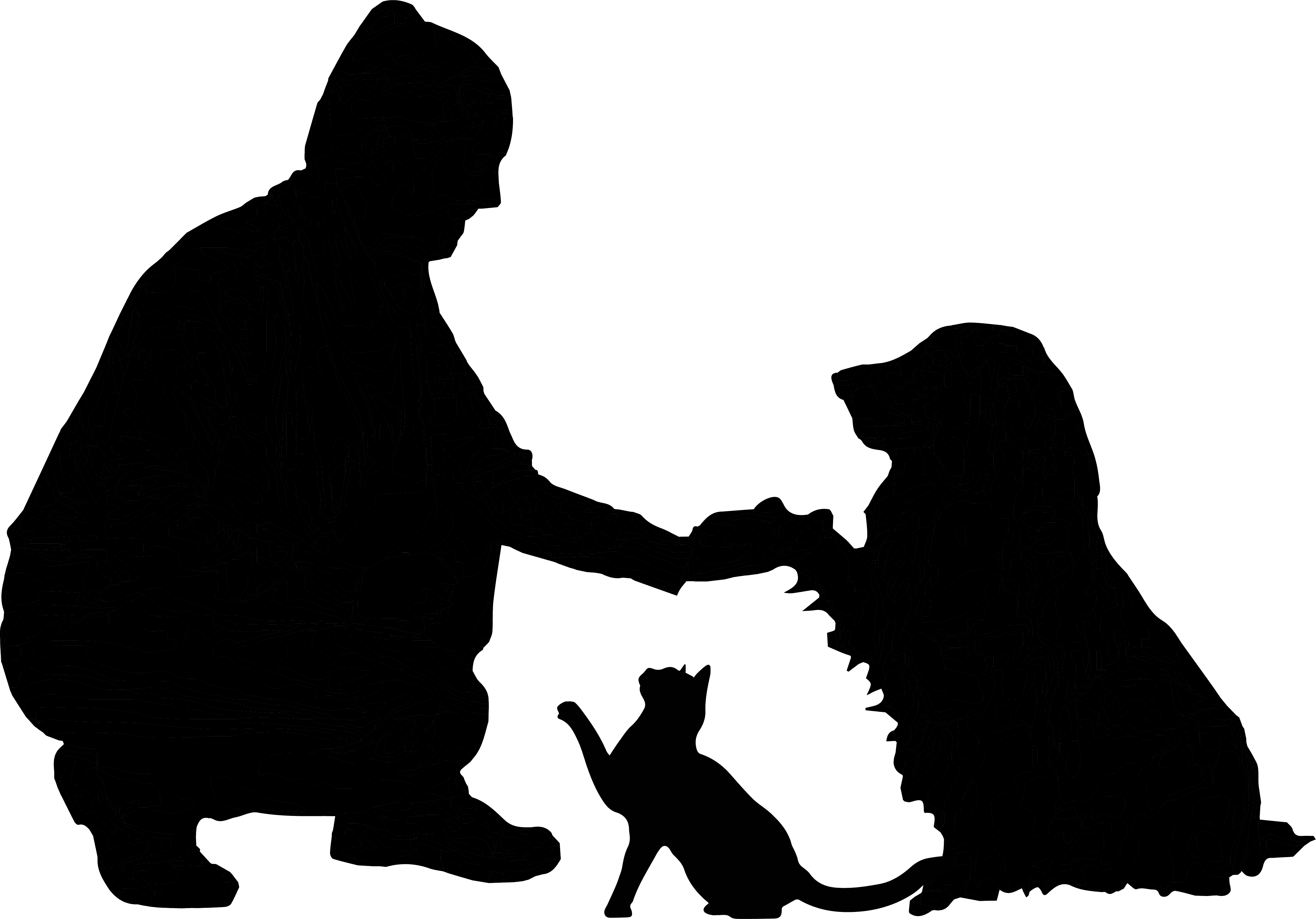 294A6D54-3665-43AF-80A5-91F489F1AD5E