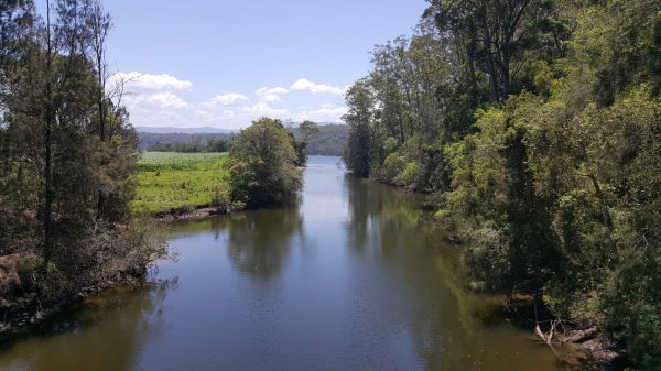 bens walk