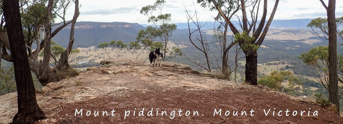 mount piddington