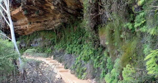 porters pass Centennial Glen