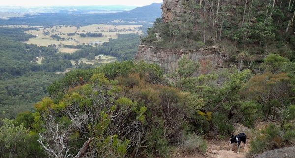 porters pass Centennial Glen