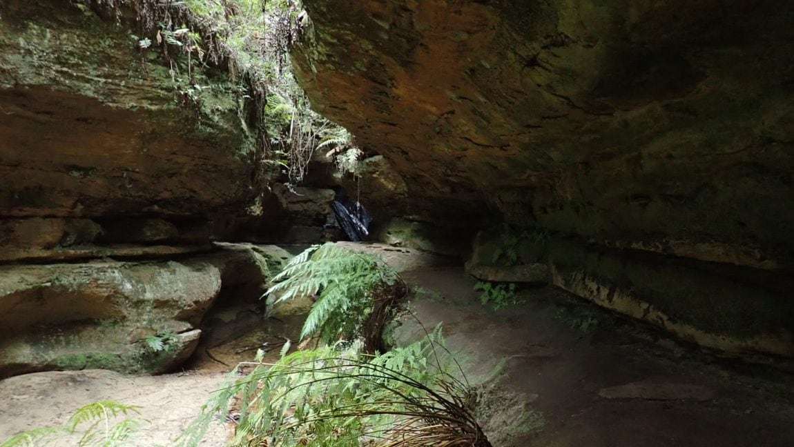 porters pass Centennial Glen