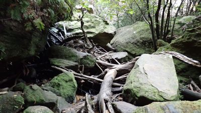 porters pass Centennial Glen