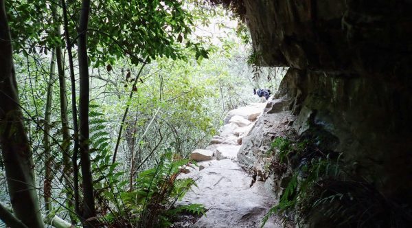 porters pass Centennial Glen